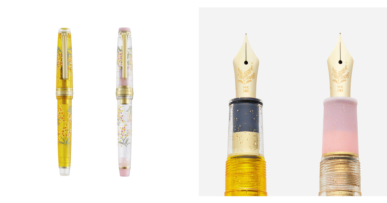 プロフェッショナルギア スリム ミモザ 限定セット新発売 | ancora