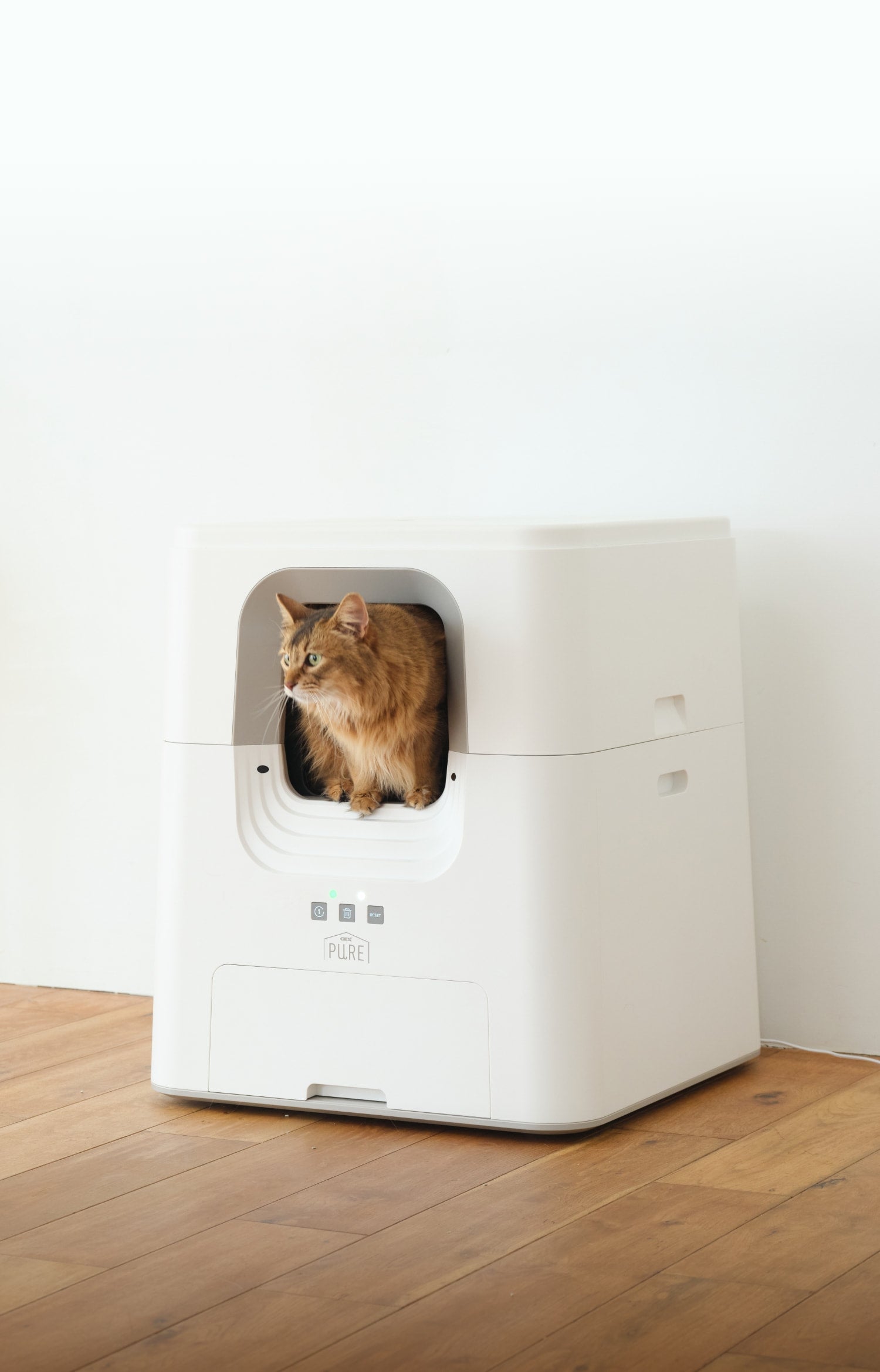 CATLINK 自動猫トイレ 自動猫用トイレ CATLINK SCOOPER PRO ステップ