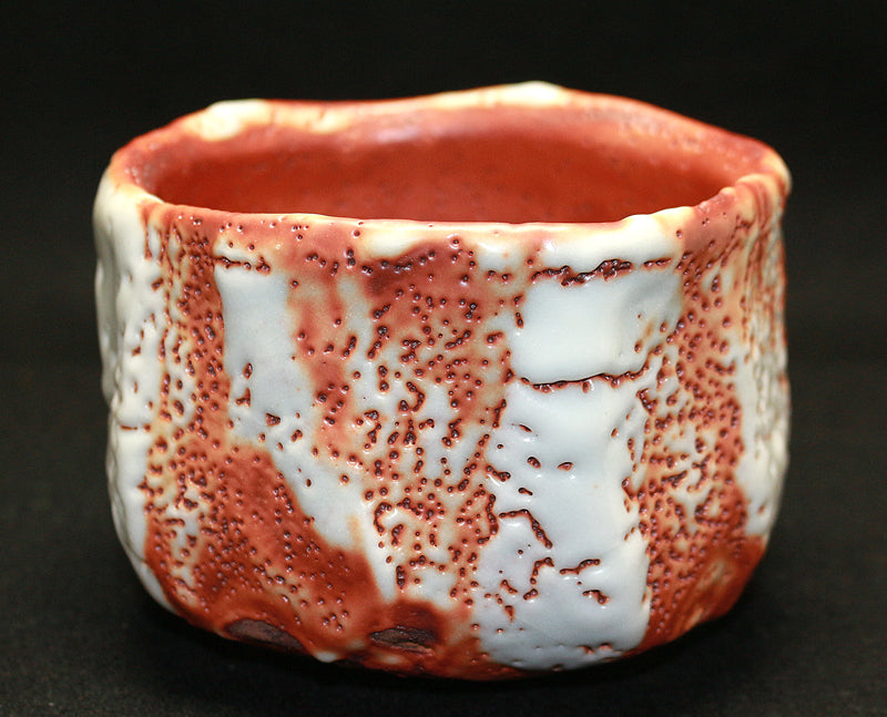 FROM JAPAN様 志野組皿五枚 (林正太郎 作) 未使用 新品同様 2025年最新