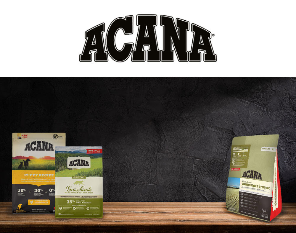 ACANA アカナ ドッグフード 正規品 シニアドッグレシピ 2kg 11.4kg