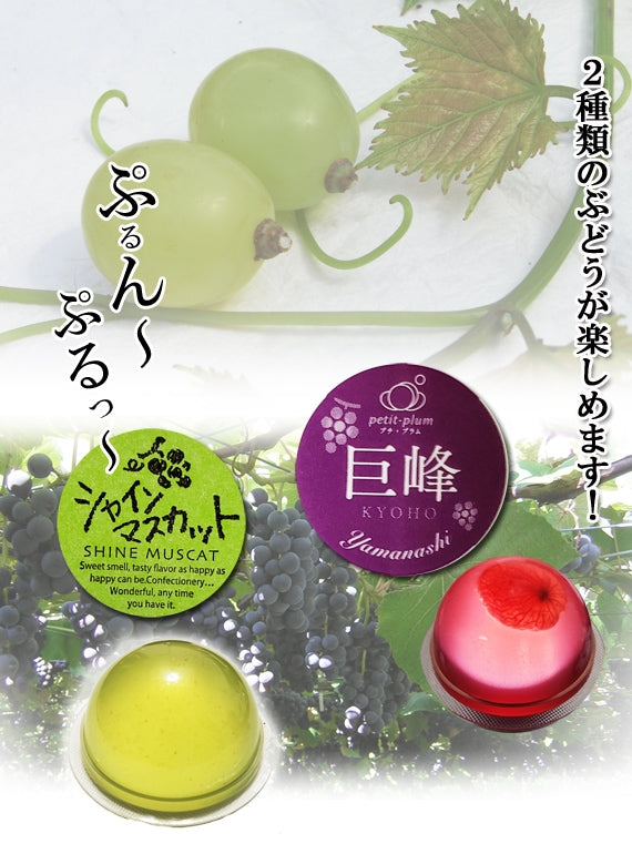 ZIPで紹介！】ぶどう2種（シャインマスカット・巨峰ゼリー）食べ