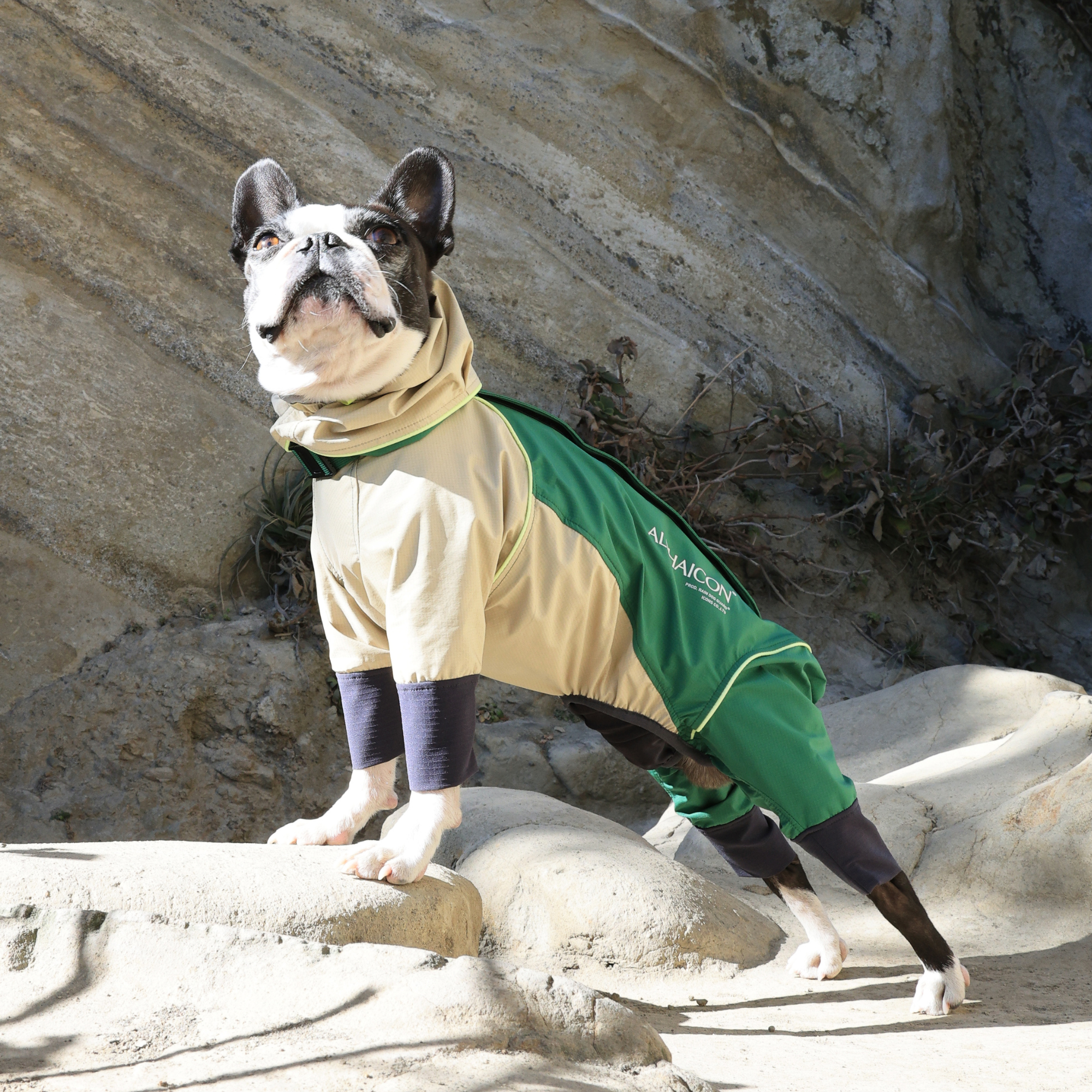 アルファアイコン ドッグガードエアーS ALPHAICON ドッグガードエア