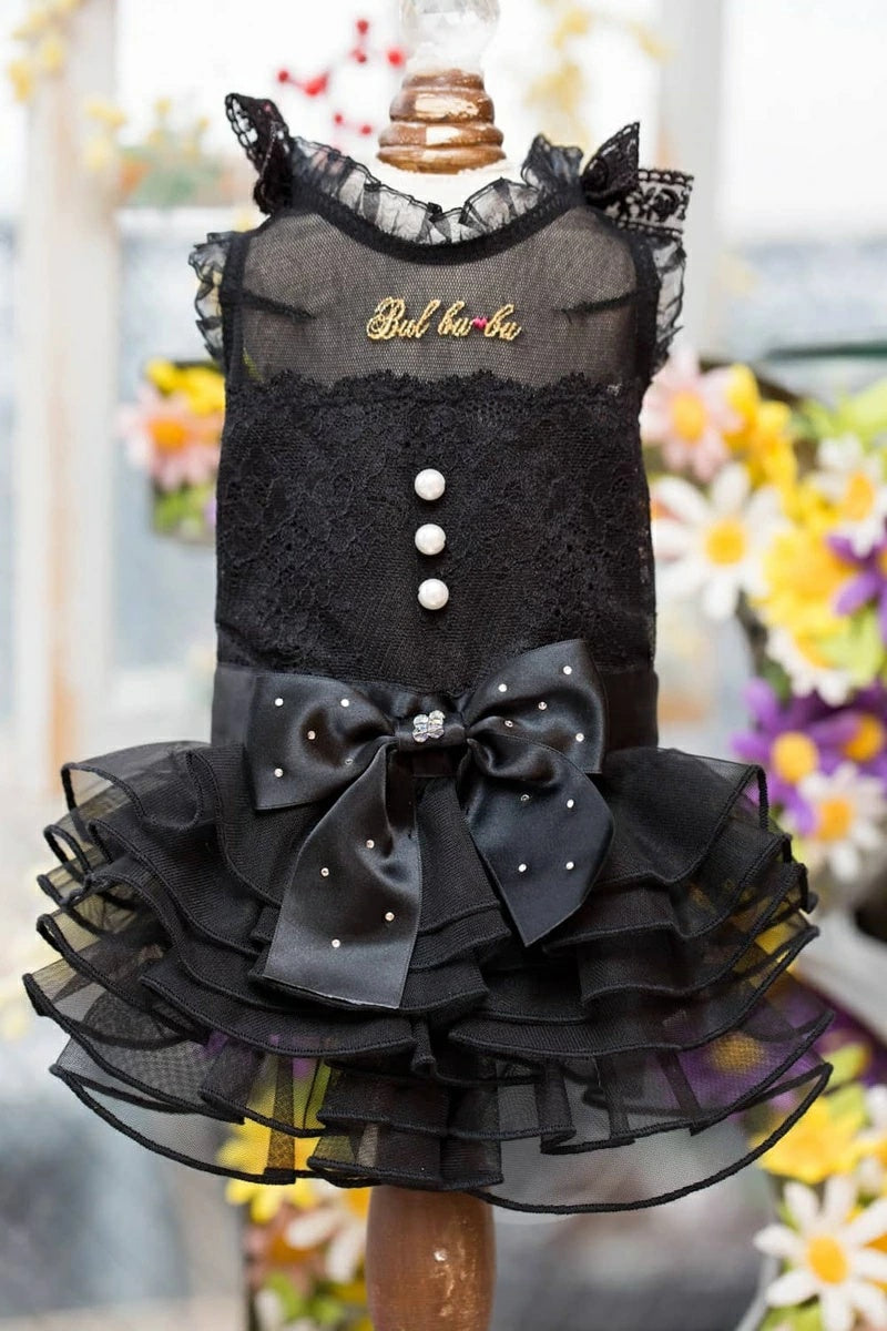 BUL BU-BU – TIARA PETS