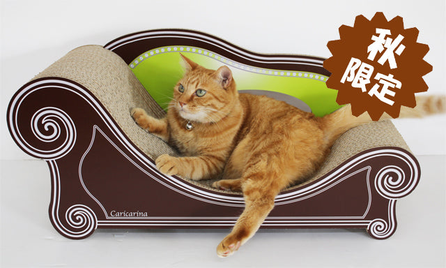 秋限定のキャンペーン】カリカリーナあなた色2022 – 猫の爪とぎ