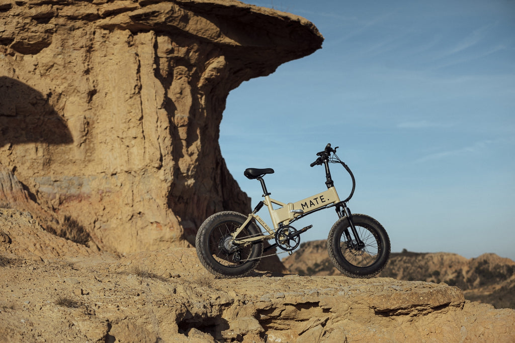 DESERT_STORM_MATE_X_U5A4373_1_