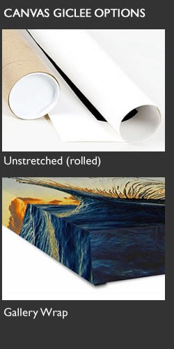 Pineapple Express - Clark Little Photography