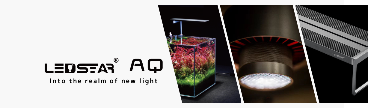 待望の新商品】スマートテラリウム LEDSTAR INFINITY HYLAEA