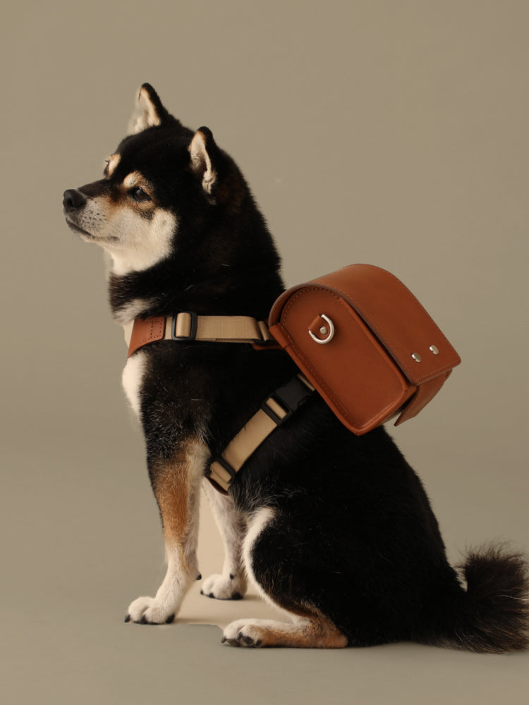 犬用のランドセルなど、愛犬との時間を楽しむペットアイテムに限定色が