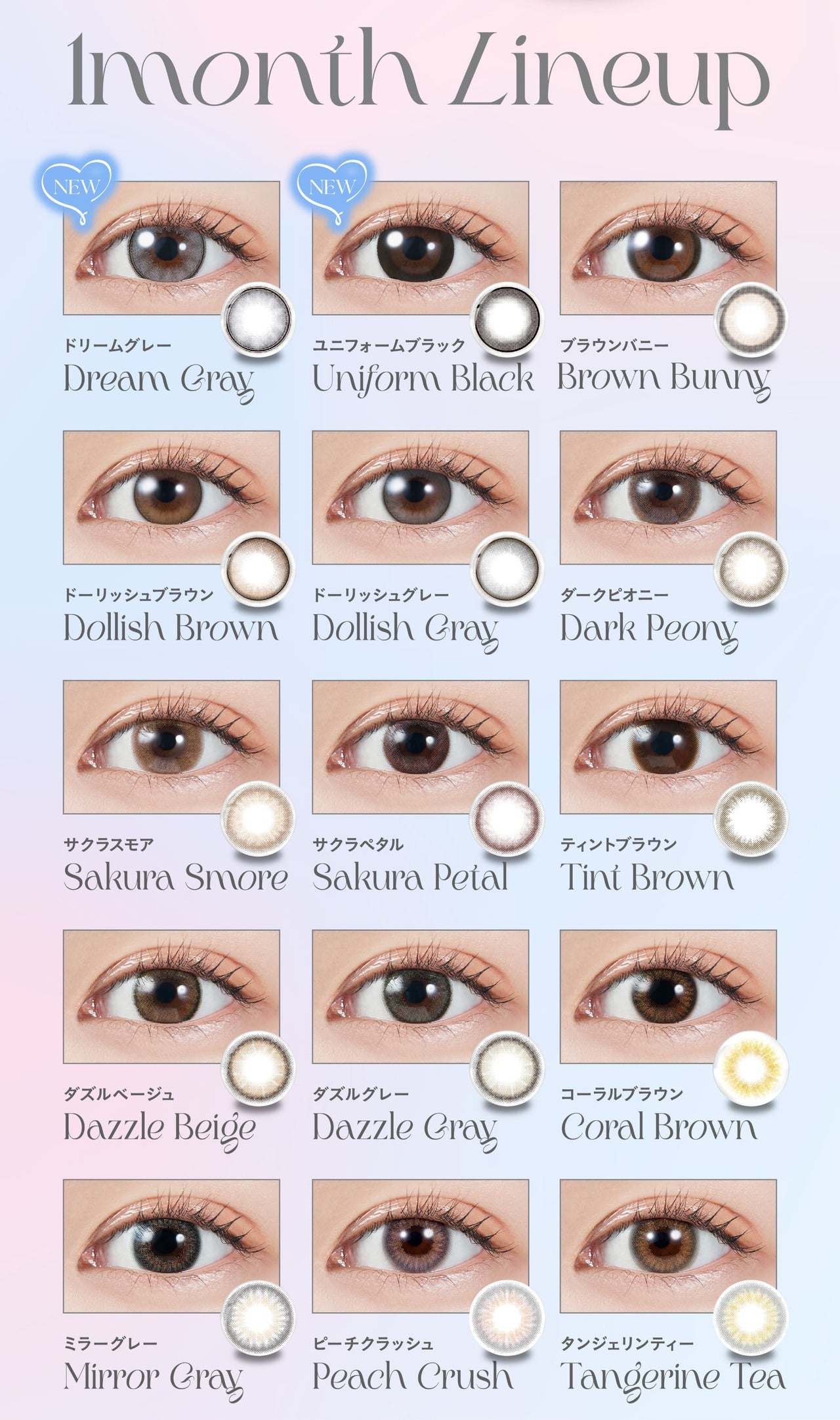 Dream Gray [MOLAK] | 1month Colored Contact Lens - DIA 14.5mm