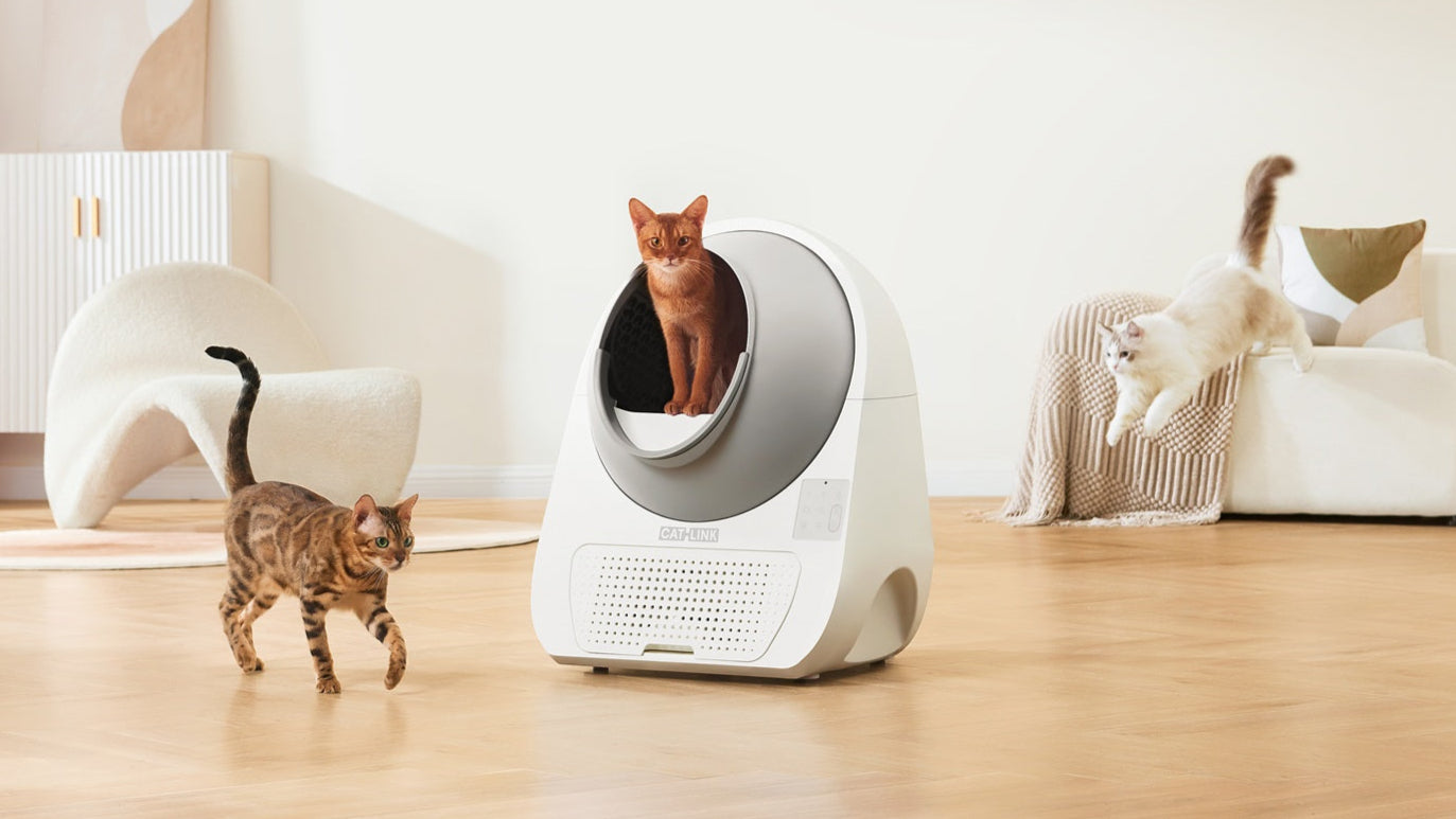 全自動猫トイレ