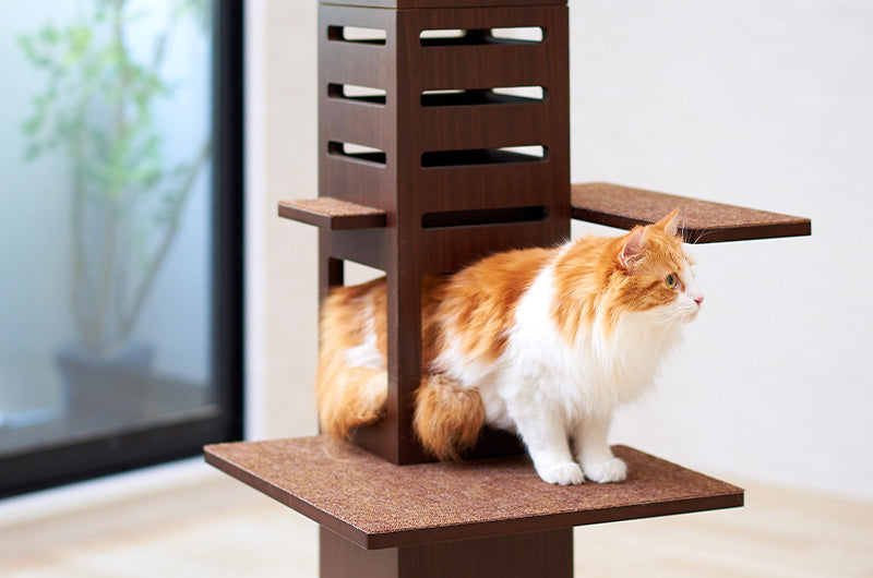 おしゃれなインテリアとしての木製キャットタワー – OFT STORE