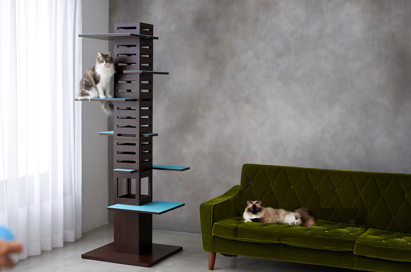 室内飼いの運動不足な猫ちゃんへ。モダンでおしゃれなキャットタワー