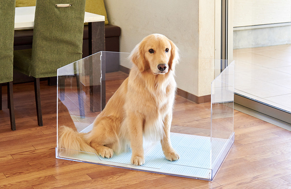 ペットアクリルトイレトレー DAIHUKUtype(w) ワイド※飛散ガ