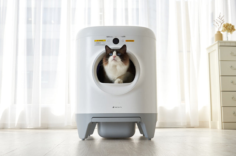 同時発売！自動猫トイレPETKIT Pura X ＆ Pura Max – OFT STORE