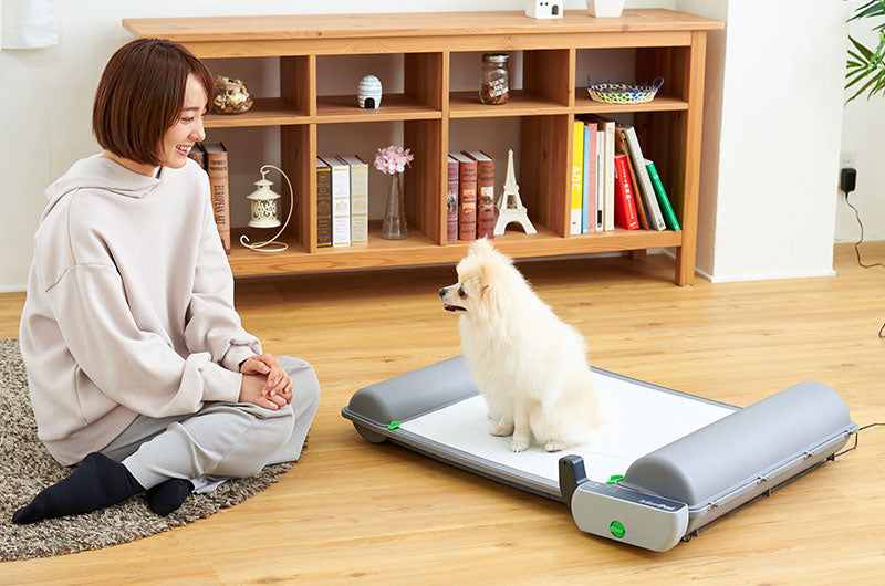 VOGUE JAPAN MAY 2023 NO.285』に自動犬トイレ“ブリリアントパッド