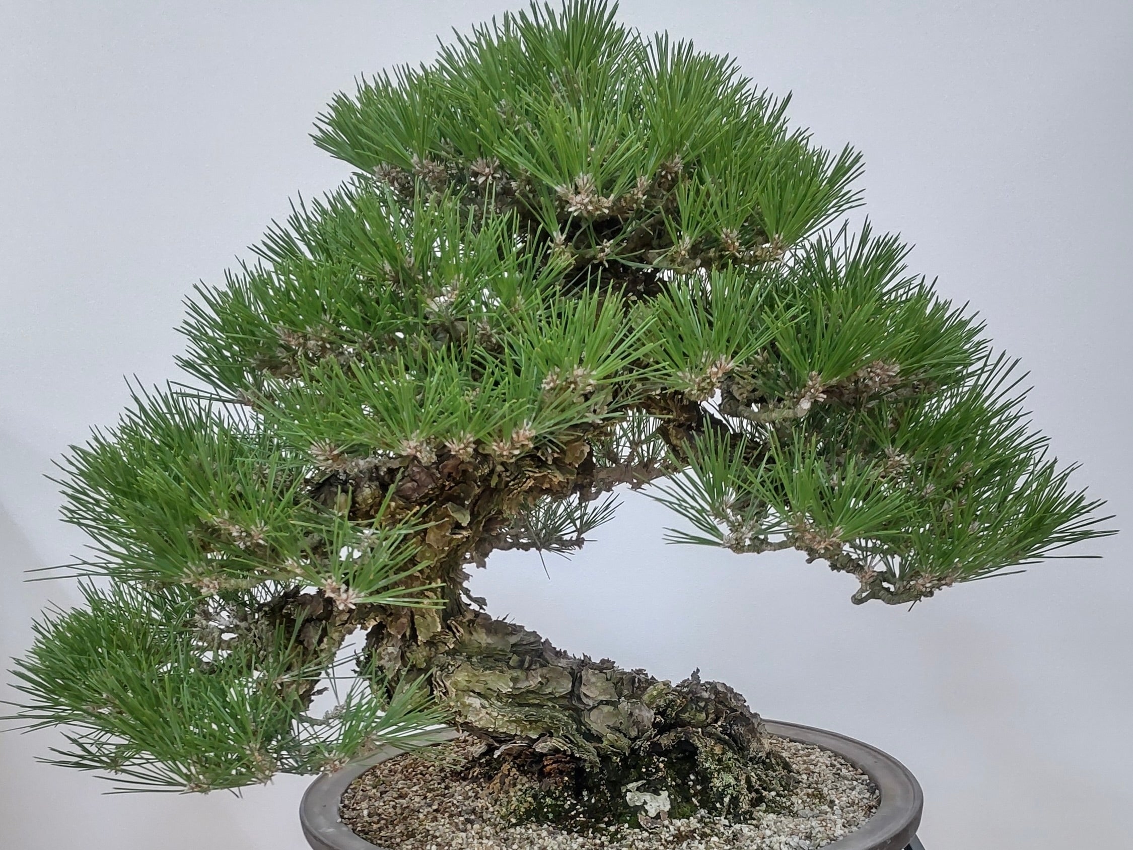 1677395239698_469026_20230226_