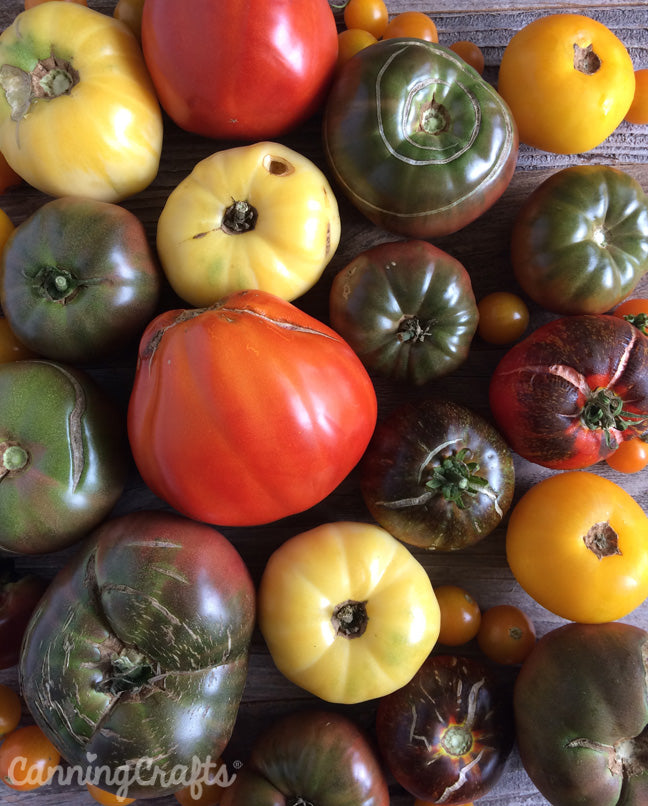 2018 Garden: Where the Heck are My Tomatoes? – CanningCrafts