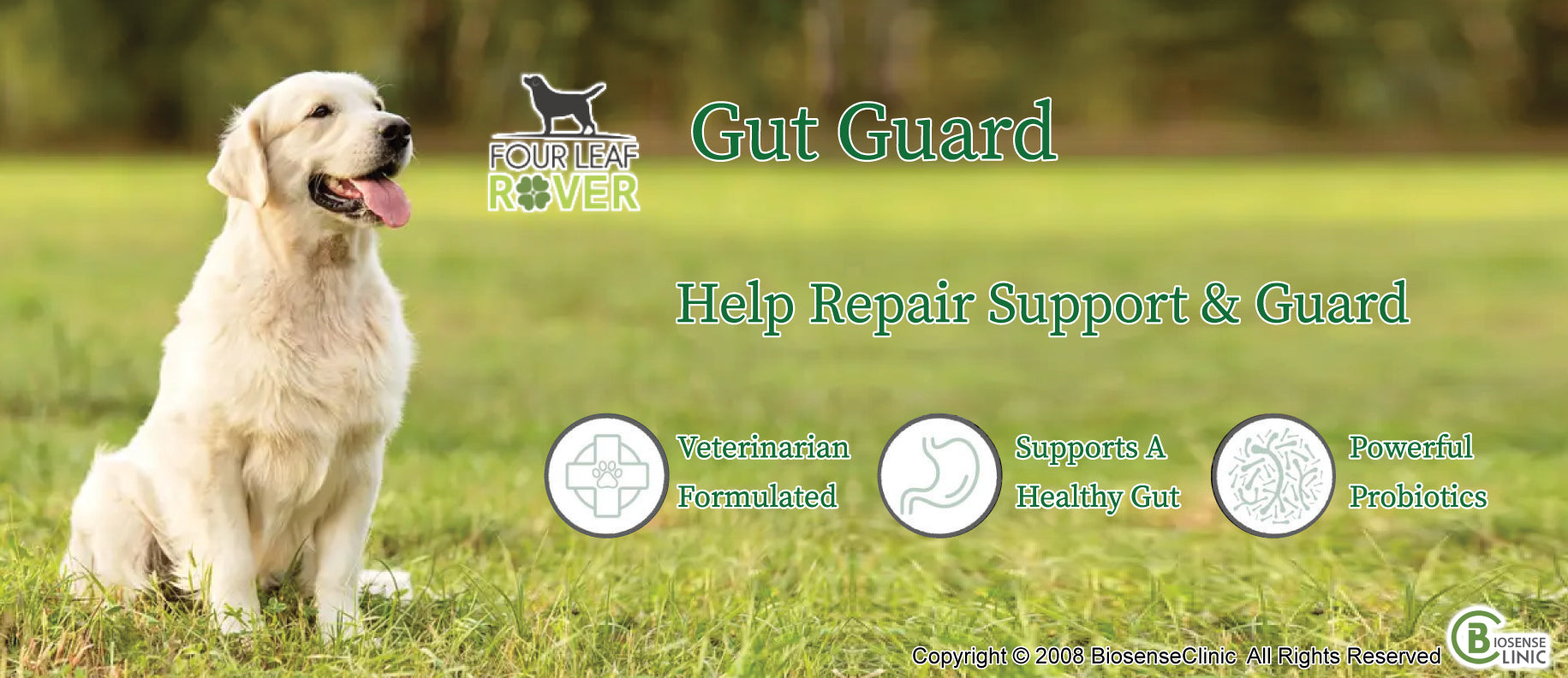 Four Leaf Rover Gut Guard – BiosenseClinic