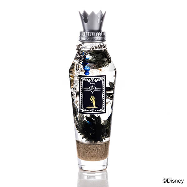 リク モデル ハーバリウム キングダム ハーツⅢ キングダム ハーツ