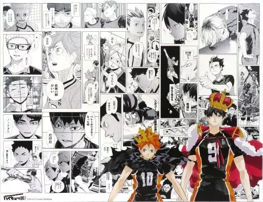 ハイキュー!!展 フルカラーBIGアートボード 日向翔陽&影山飛雄 大人