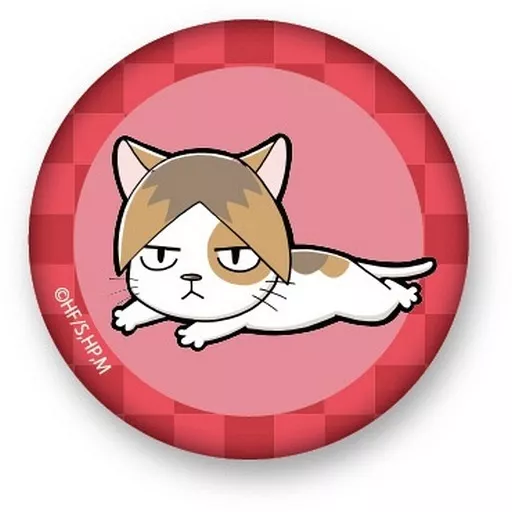 ハイキュー 孤爪研磨 研磨ネコ 缶バッジ 激レア動物Ver. 懸賞 当選