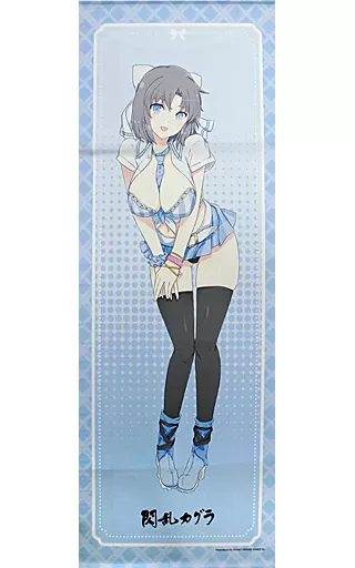 webくじ 閃乱カグラ A賞 等身大タペストリー 奈楽 未使用 未開封