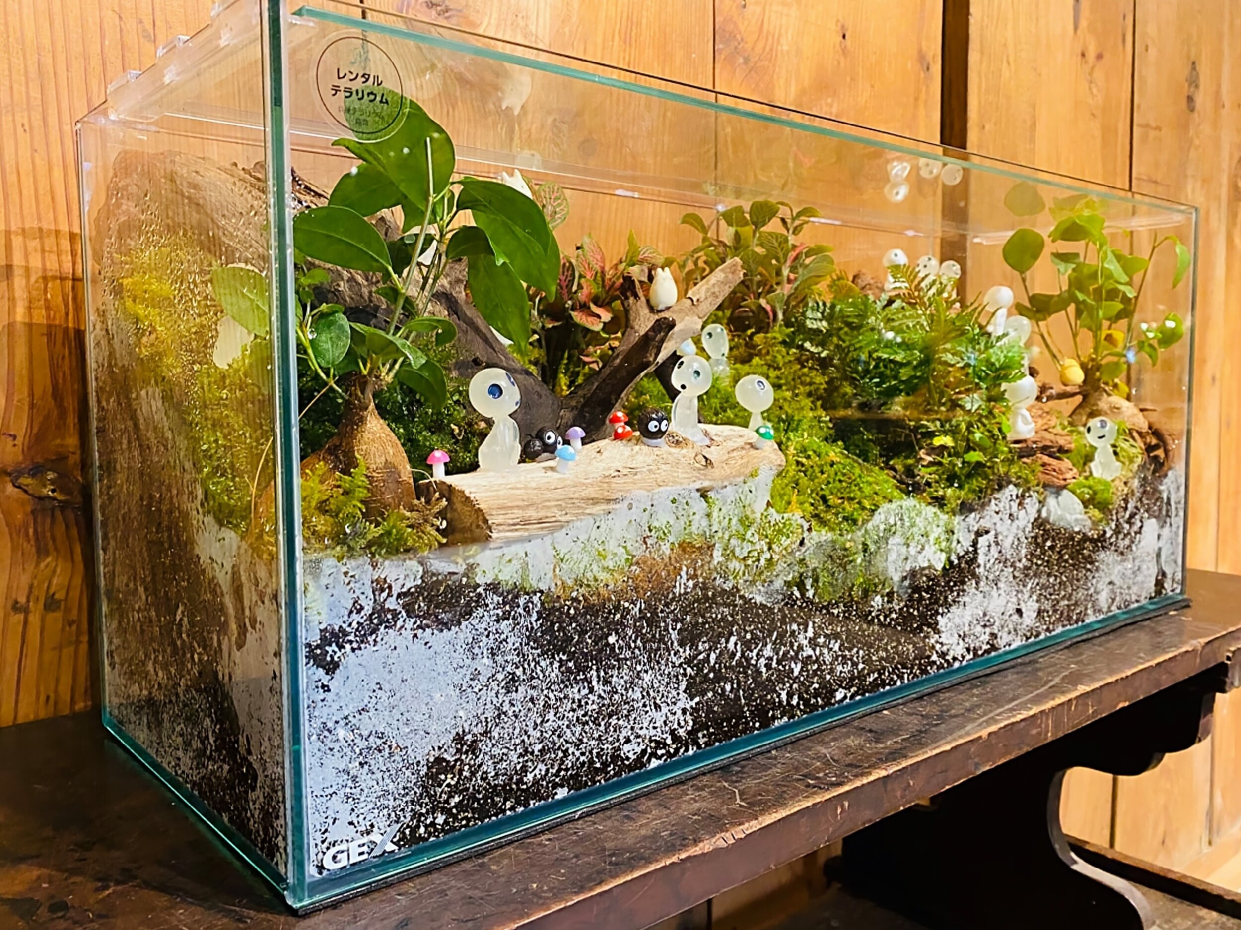 オーダーメイド】滝のあるアクアテラリウム 苔テラリウム アクアリウム