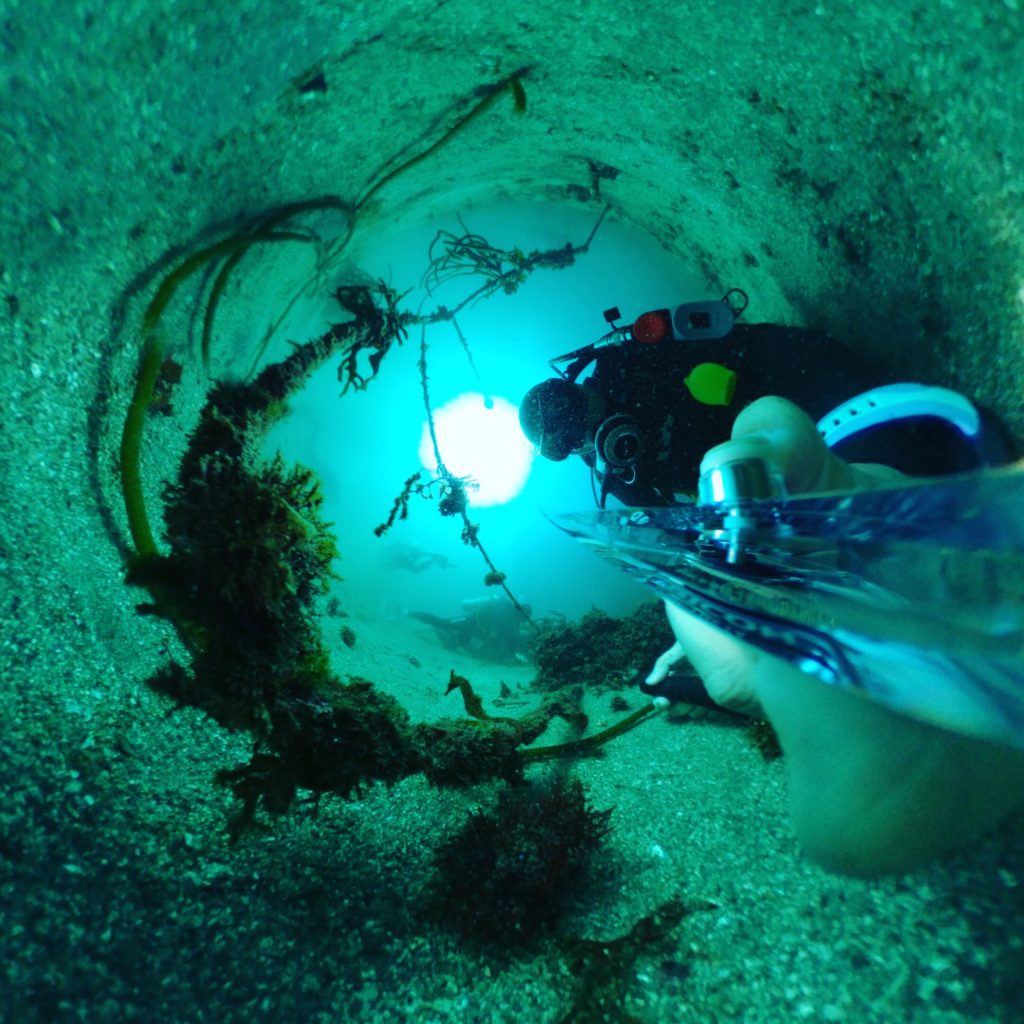 ダイビングインストラクターの森田安奈さんに海でTHETAを使う理由