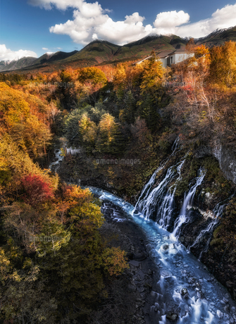 美瑛町白ひげの滝の紅葉の写真素材 [FYI04674680] | ストックフォトの
