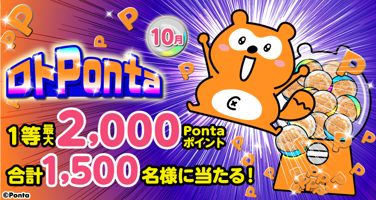 ぽん様専用 ぽん様専用ページ ぽんさま 専用 ぽん◎さま専用ページ⋆