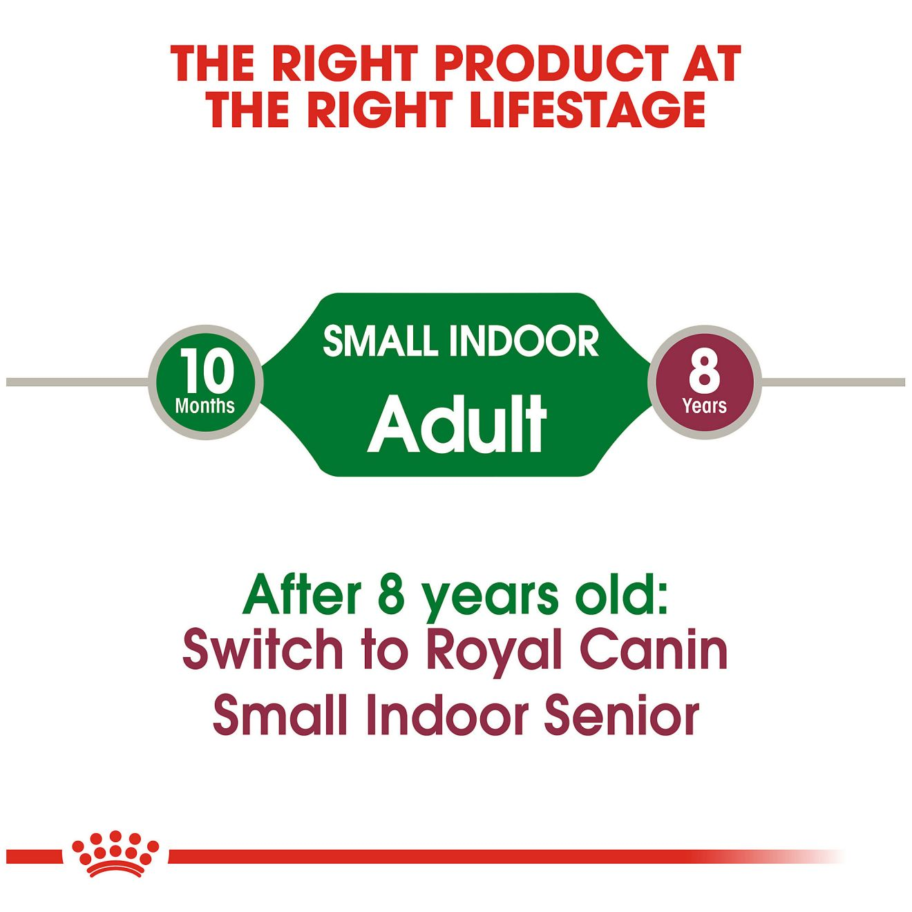 Small Indoor Adult | Royal Canin US