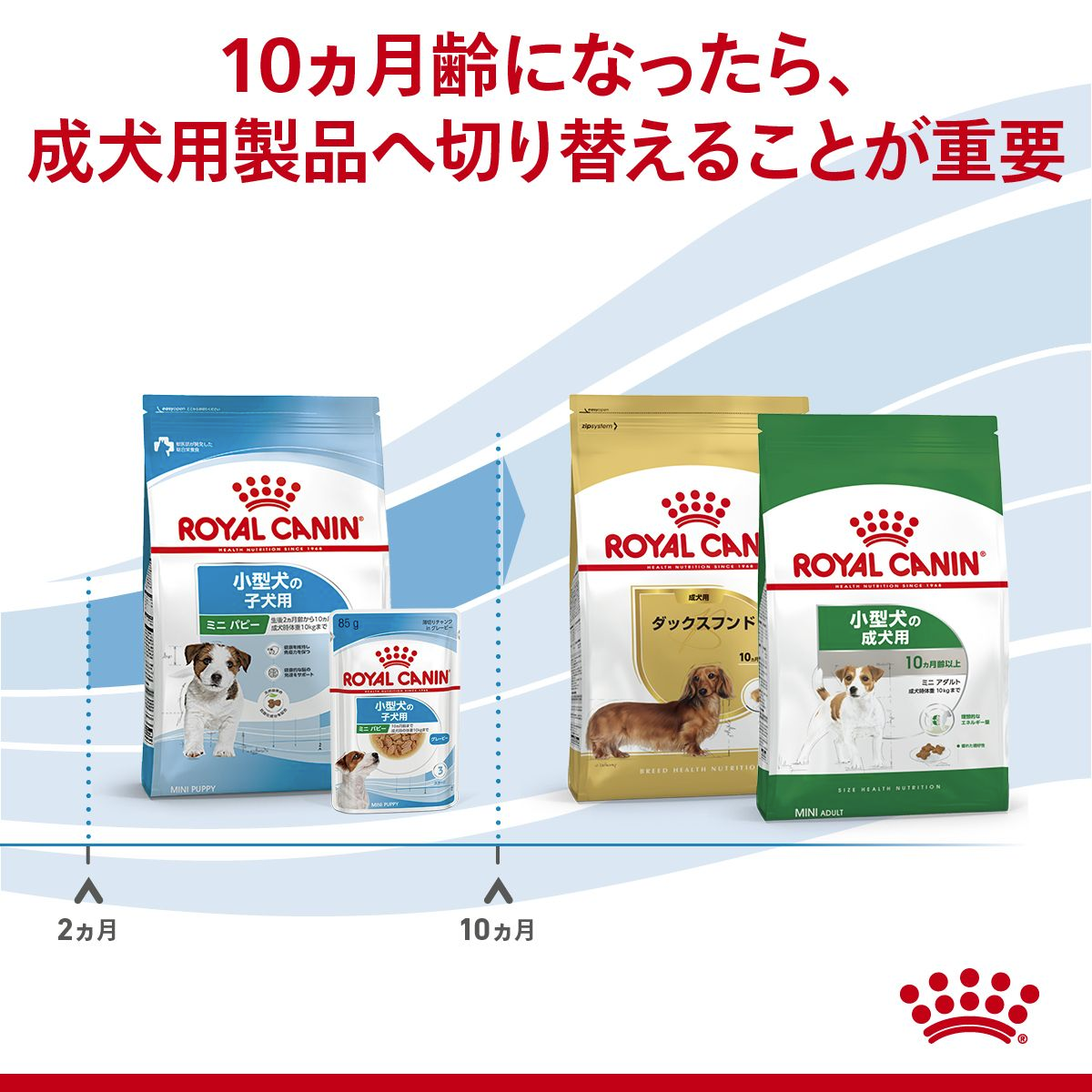 ミニ パピー (小型 子犬用 ドライ） | Royal Canin JP