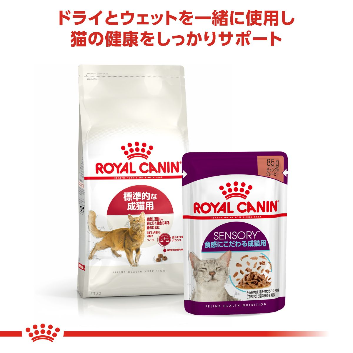 フィット（成猫用 ドライ） | Royal Canin JP