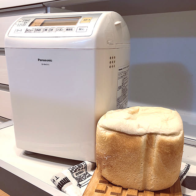 Panasonic SD-RBM1000 ホームベーカリー gopan ゴパン パナソニック