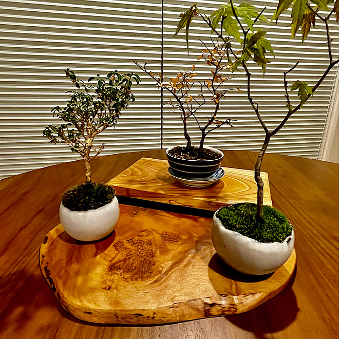 超美品！！ 唐木 花台 飾り台 飾台 盆栽台 香炉台 木製 インテリア 床