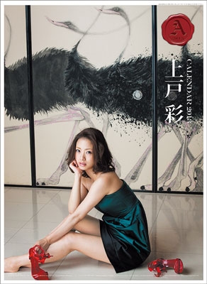 上戸彩 2013年カレンダー/上戸彩