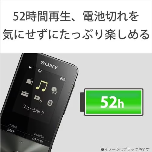 SONY ソニー NW-S315 (B) [16GB ブラック] ウォークマン Sシリーズ