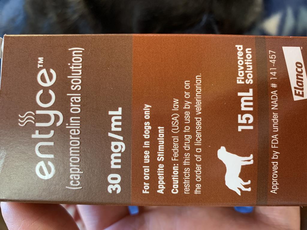 エンタイス15mLレビュー｜犬猫ペットのお薬通販うさパラ