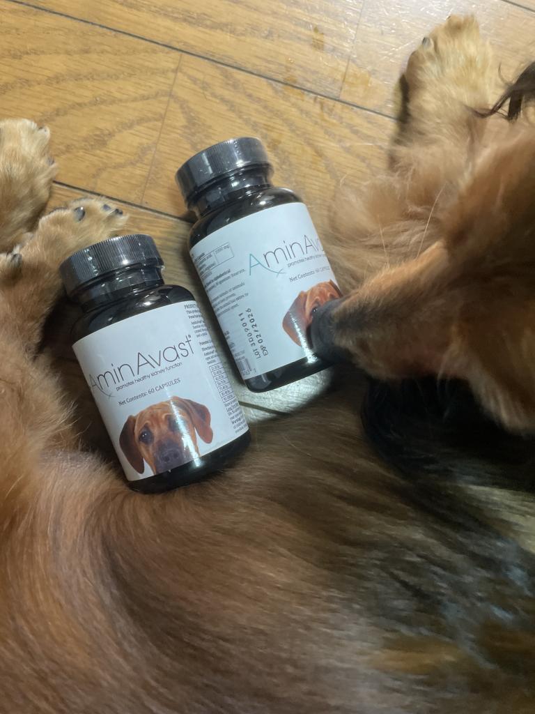 アミンアバスト（犬用）レビュー｜犬猫ペットのお薬通販うさパラ
