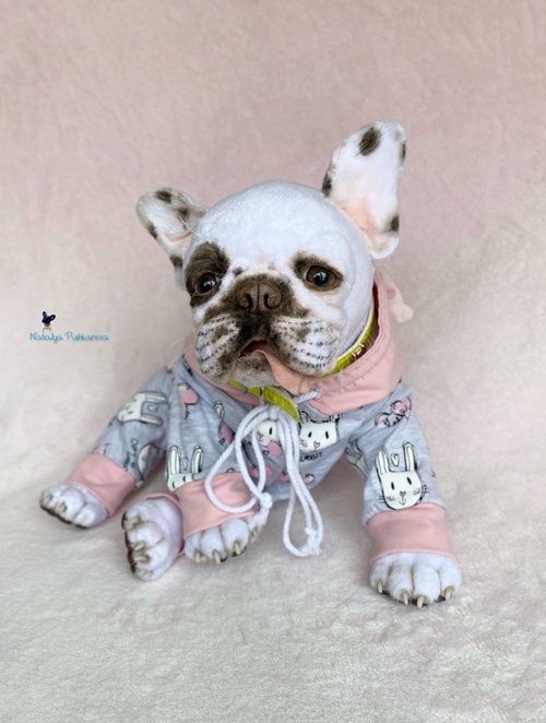 海外作家様作 ブルドッグの子供 アートドール 海外作家様作 アート