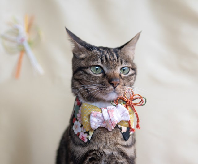 スノーフレーク柄、ファータイプ(①)わんちゃん猫ちゃん用襟つき首輪