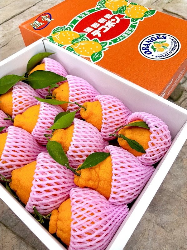 日本蒲郡樹熟不知火凸柑(3kg) 全威進口水果