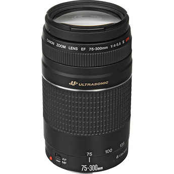 美品 Canon EF 75-300mm IS USM☆超望遠レンズ☆人気望遠！ キャノン超