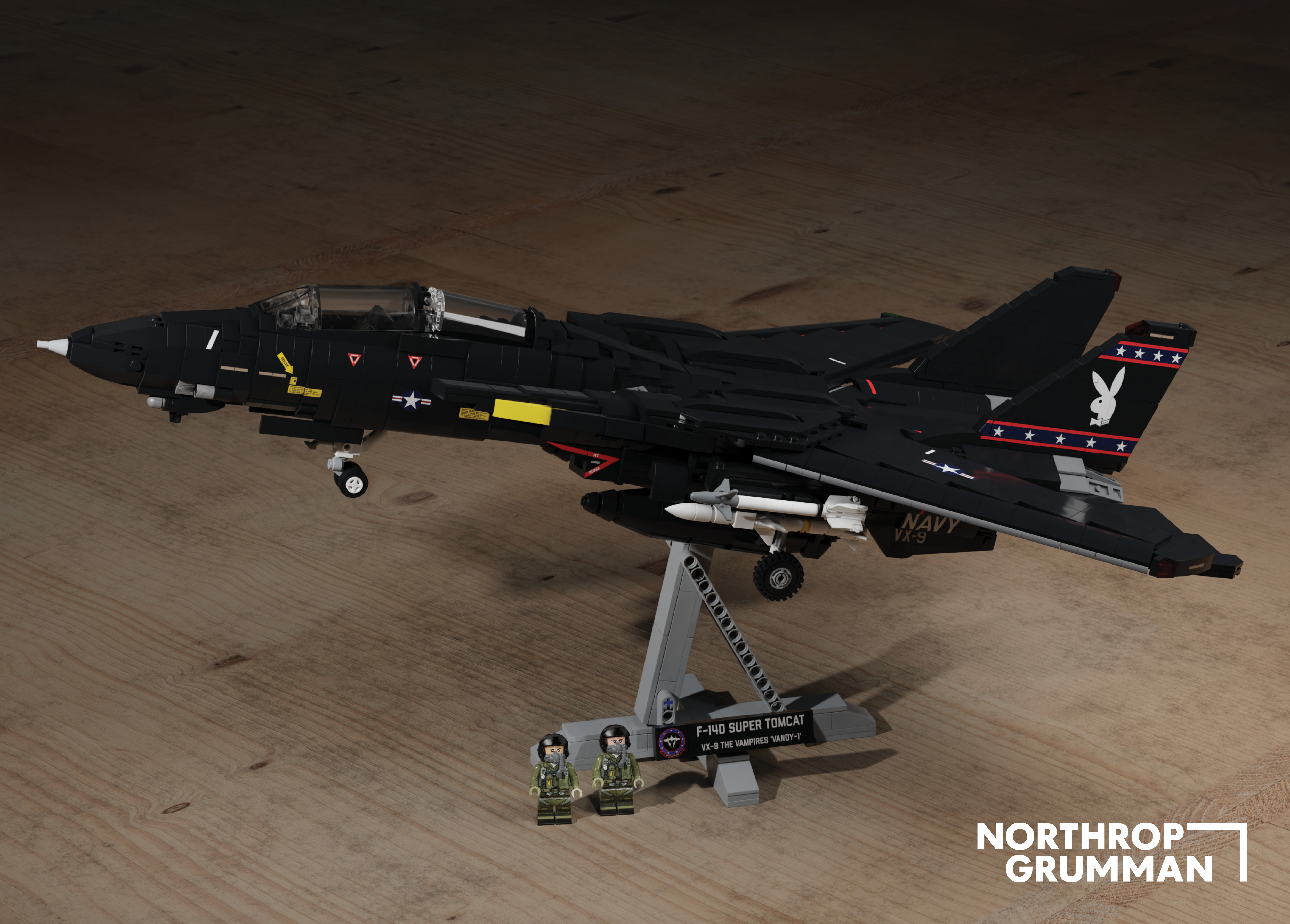 F-14D Tomcat® – VX9 The Vampires 