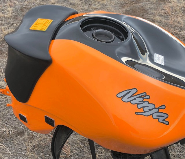 18-21 Kawasaki Ninja 400 One-Piece MonkeyGripps