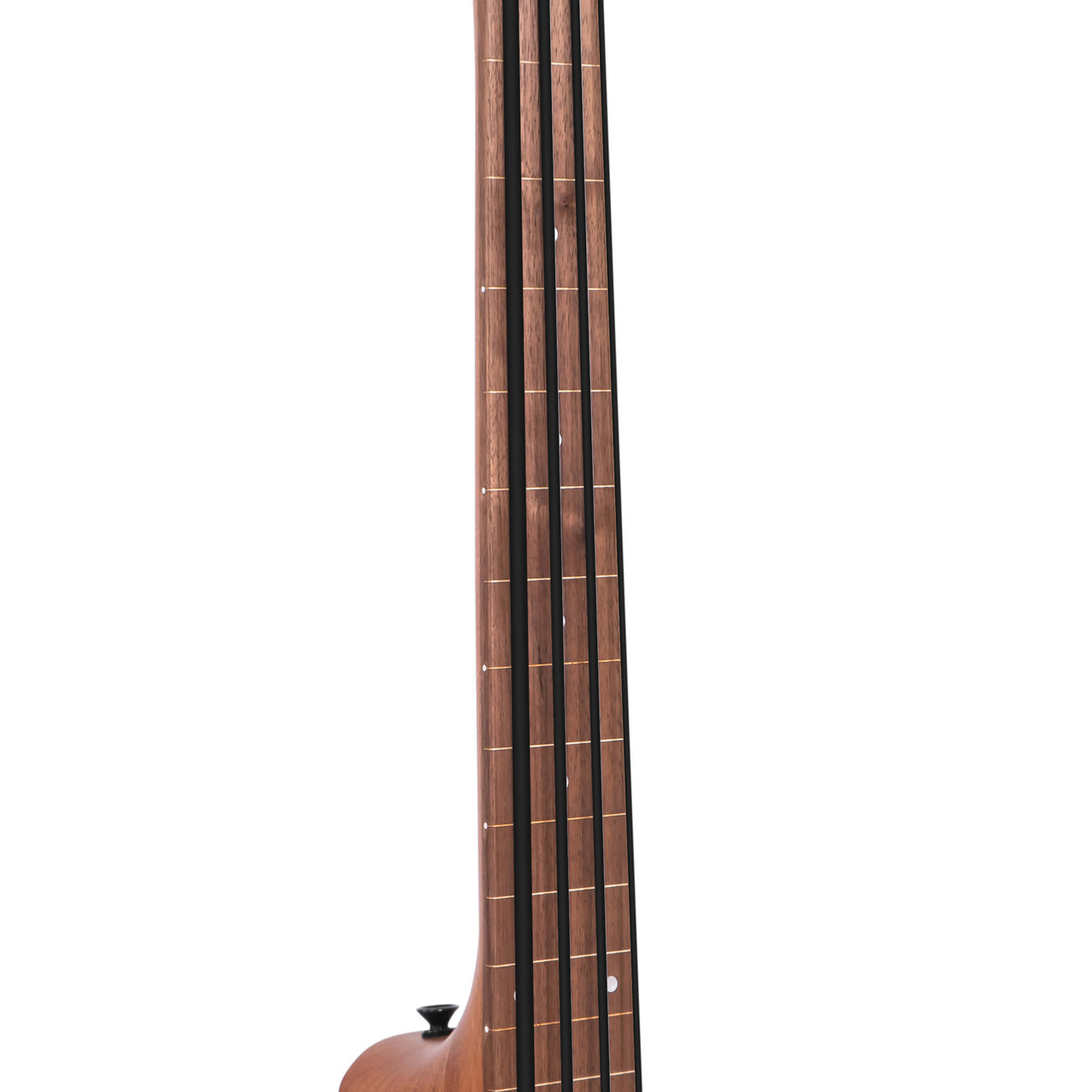 Gold Tone Micro Bass (M-Bass)