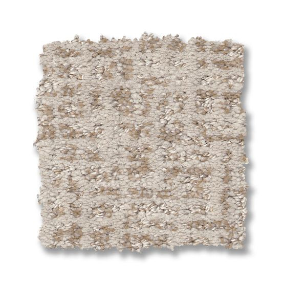 Anderson Reawaken Pet Perfect Plus Caboodle Carpet