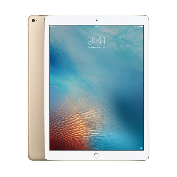 Apple iPad pro第一世代スペースグレー 公式 本体 Apple iPad Pro11
