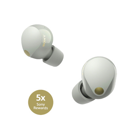Shop | Sony WF1000XM5S Truly Wireless Earbuds - Silver