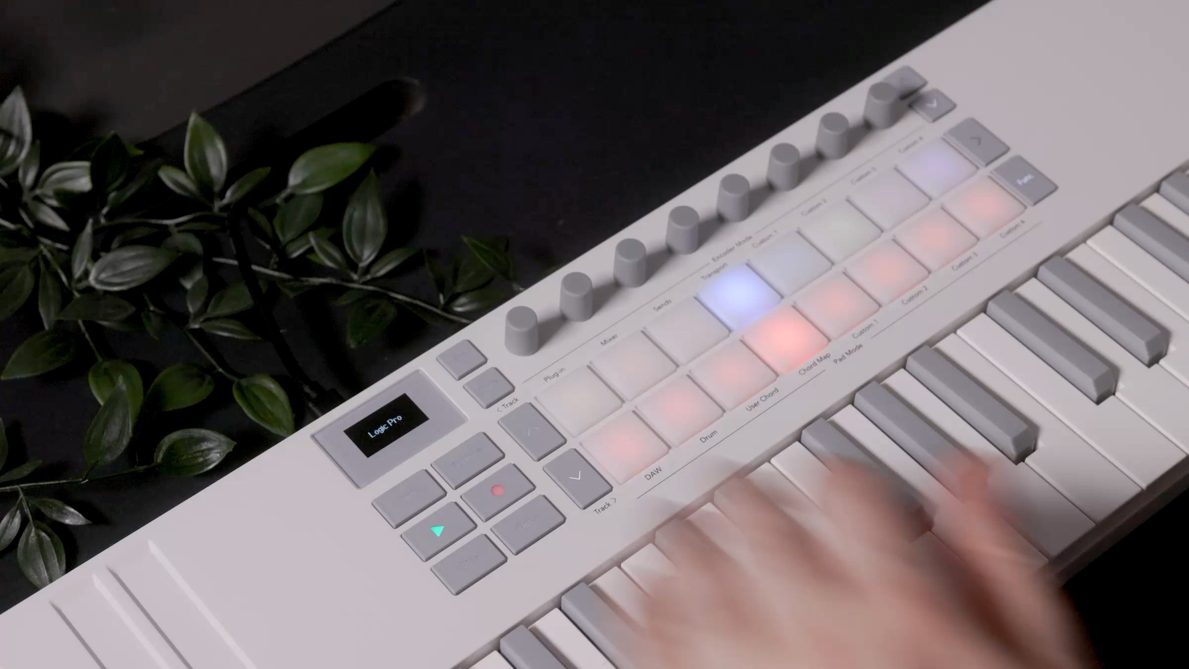 フラワーボックスNOVATION Launchkey 37 MK4 フラワーボックスNOVATION